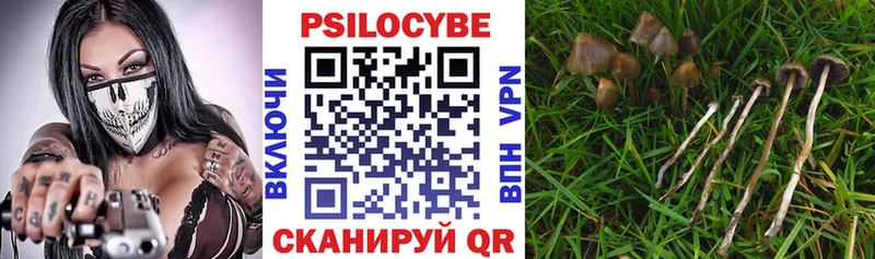 Псилоцибиновые грибы GOLDEN TEACHER  сколько стоит  Белоозёрский 