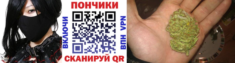 купить   Белоозёрский  МАРИХУАНА планчик 